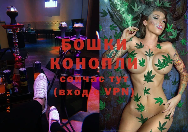 прущие крисы Новозыбков