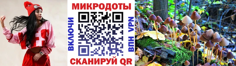 купить   Скопин  Галлюциногенные грибы Magic Shrooms 